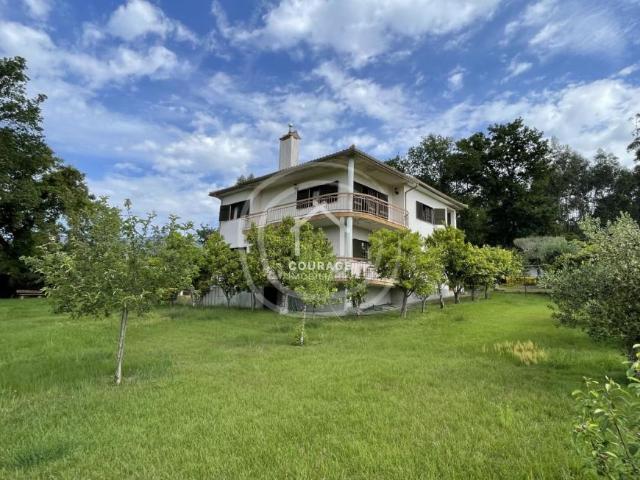 4 quarto, Viana do Castelo Ponte de Lima 4990 102658657