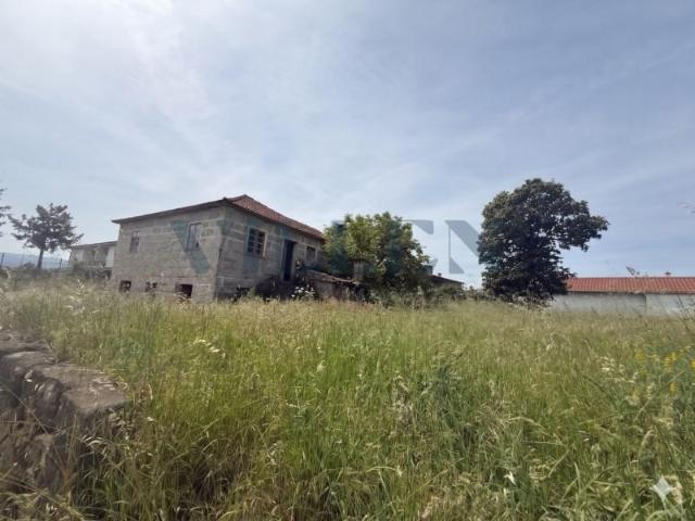 4 quarto, Vila Nova de Famalicão Vila Nova de Famalicão 101564421