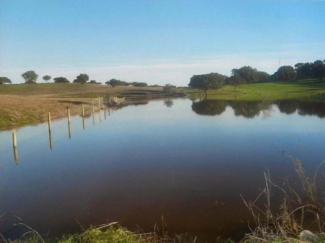 4 quarto, Almodôvar Beja 103411922