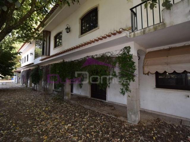 4 quarto, Alcanena Alcanena 97122812