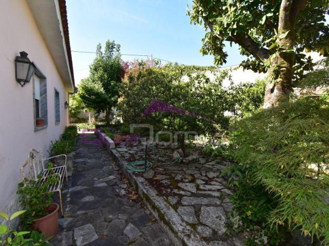 4 quarto, Alcanena Alcanena 101411468