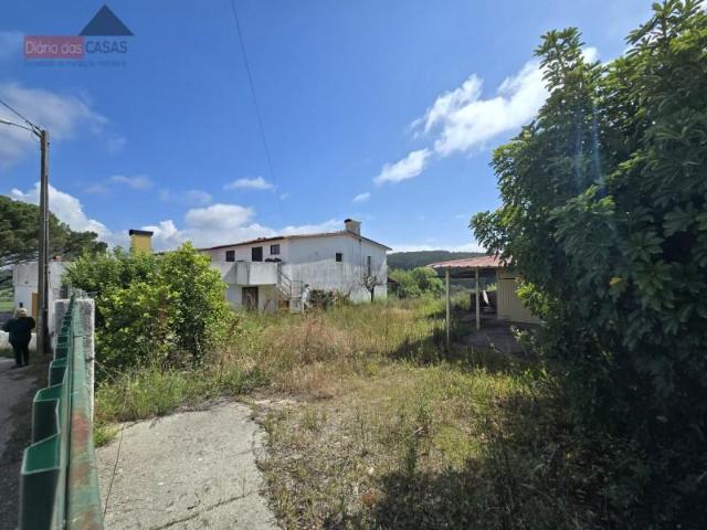 4 quarto, Anadia Anadia 102261150