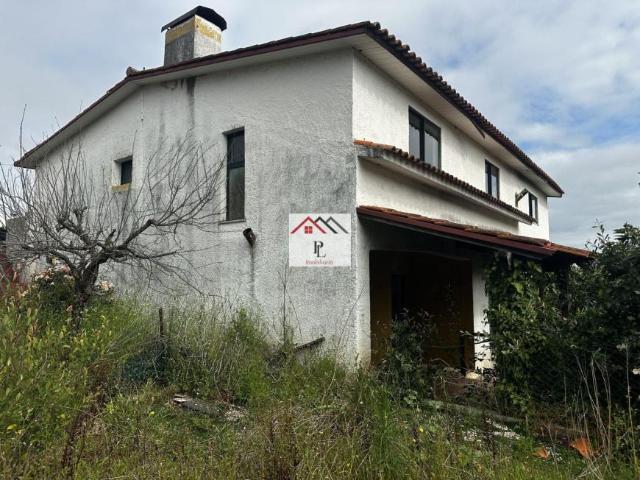 4 quarto, Aveiro Anadia 3780 LS102434288