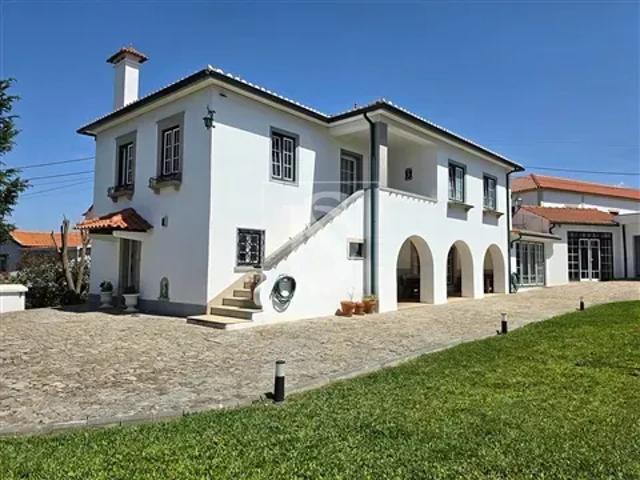 4 quarto, Aveiro Estarreja 103617301
