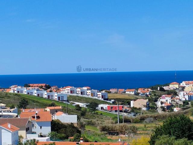 4 quarto, Baleia Mafra 2655 102731358