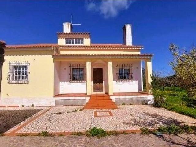 4 quarto, Borba Borba 100311608