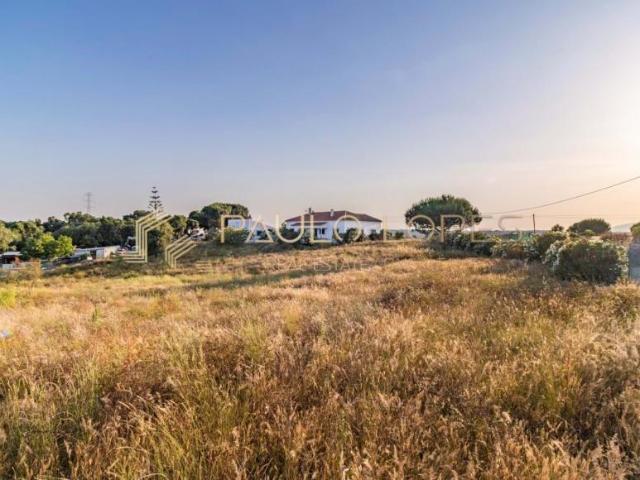 4 quarto, Cartaxo Santarém 103031765
