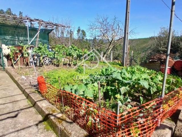 4 quarto, Castelo Branco Oleiros 6185 LS99825462