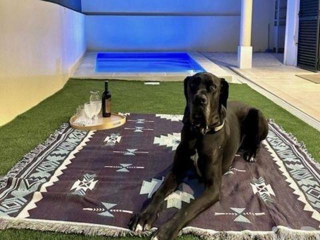 4 quarto, Cascais Lisboa 102277156