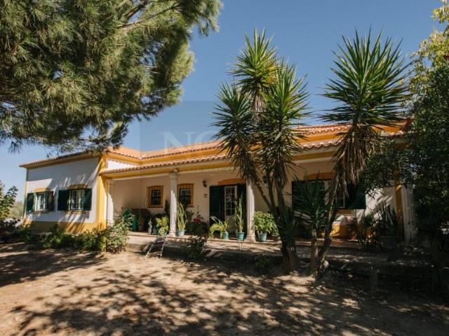 4 quarto, Coruche Coruche 99801806