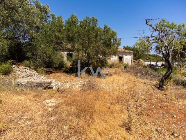 4 quarto, Faro Algarve LS79502768