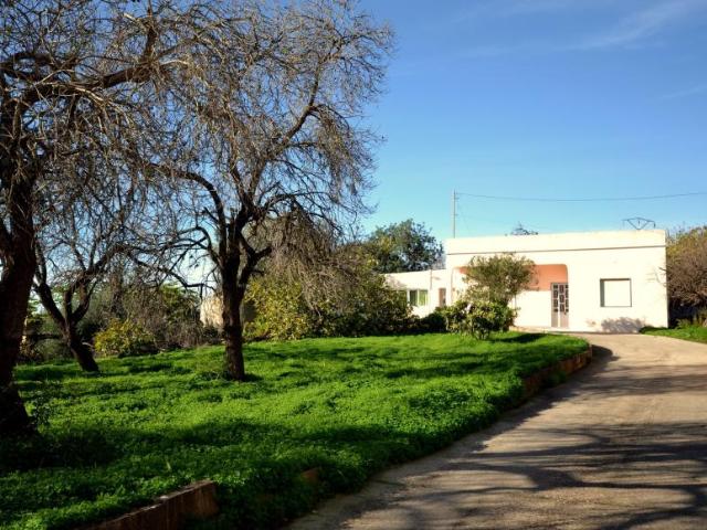 4 quarto, Faro Faro 102054385