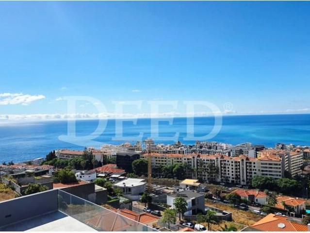 4 quarto, Funchal Funchal 95264623