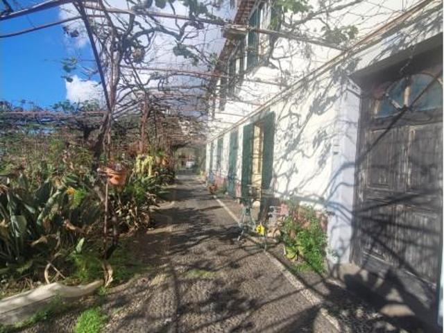 4 quarto, Funchal Funchal LS101128149
