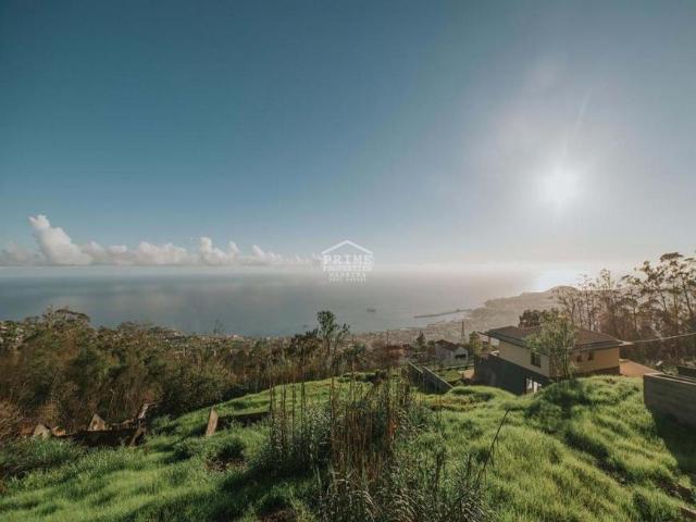 4 quarto, Funchal Ilha da Madeira LS48943649