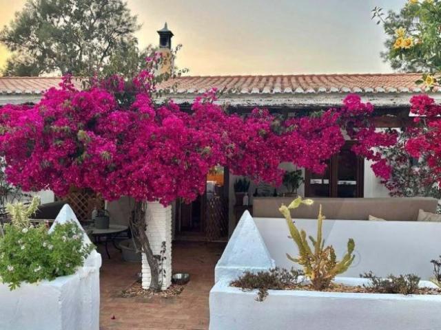 4 quarto, Lagoa Algarve 103391473