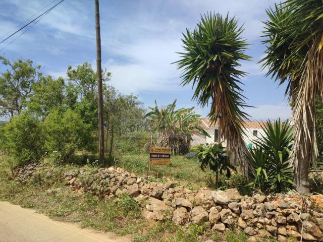 4 quarto, Lagos Algarve 103841085