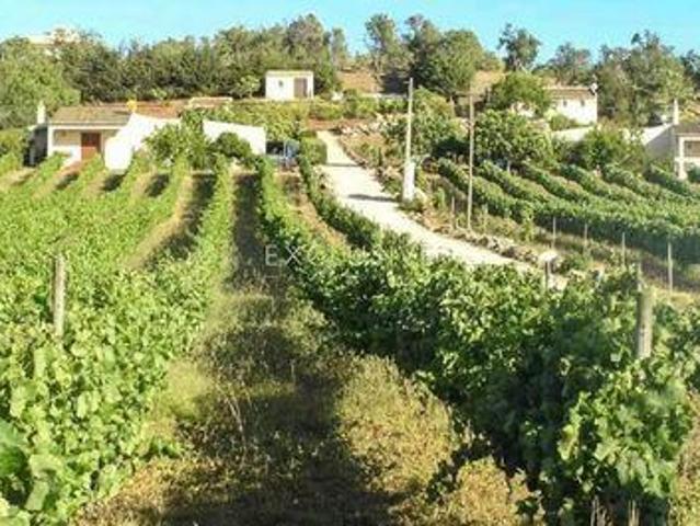 4 quarto, Lagos Faro LS96322889