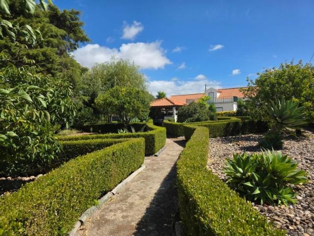 4 quarto, Lourinhã Lourinhã 2530 286 102861562
