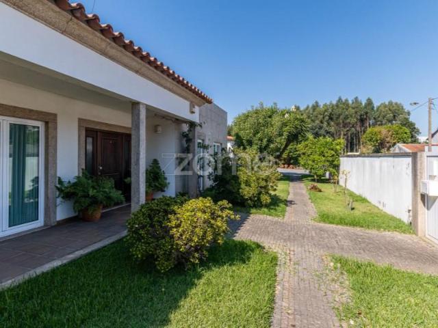 4 quarto, Maia Maia 98332314