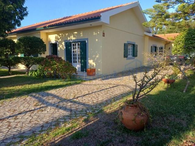 4 quarto, Marinha Grande Marinha Grande 95263388