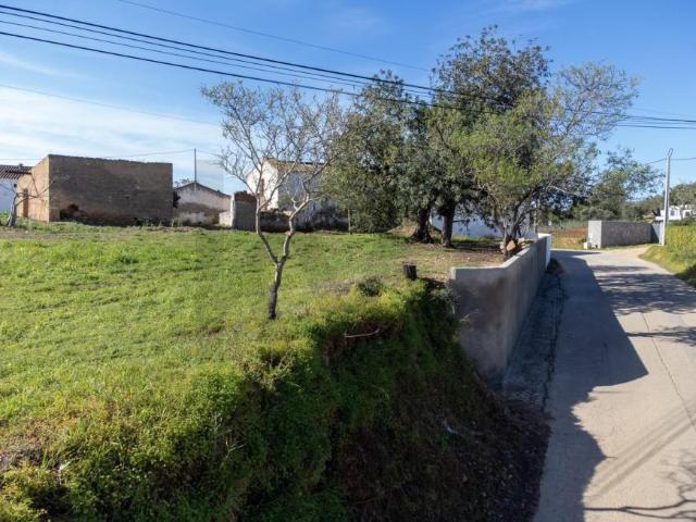 4 quarto, Olhão Algarve LS88542331