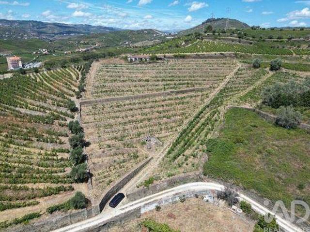 4 quarto, Peso Da Regua Vila Real 100265377
