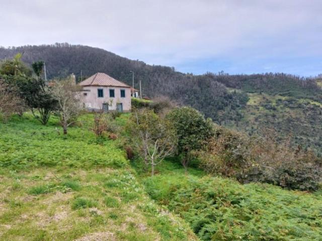 4 quarto, Porto Moniz Porto Moniz 102289851