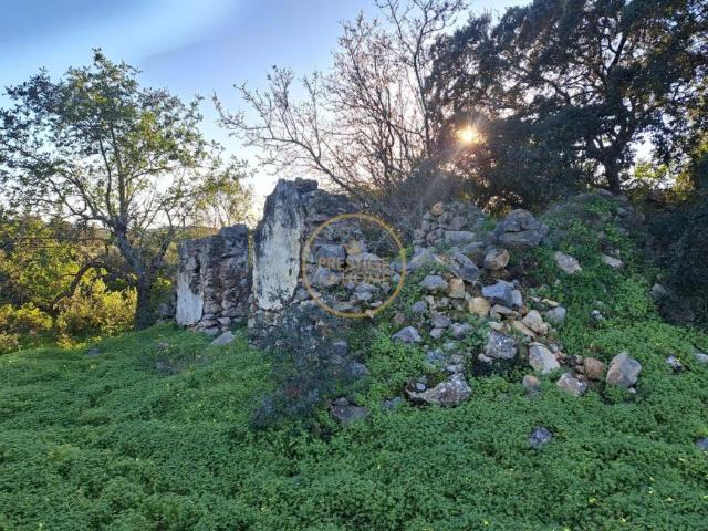 4 quarto, São Brás de Alportel Algarve 103357700