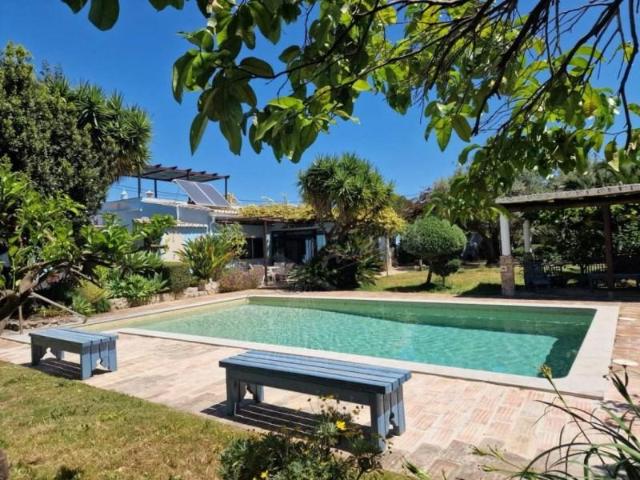 4 quarto, São Brás de Alportel São Brás de Alportel 95596345