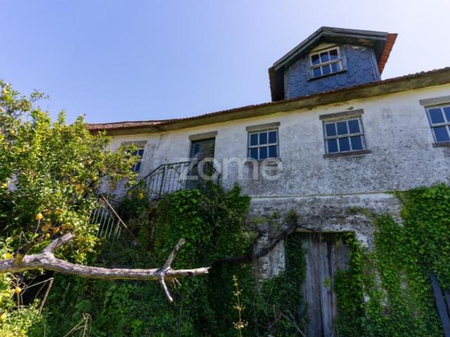 4 quarto, Santa Marta de Penaguião Santa Marta de Penaguião 96267558