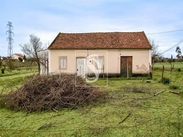 4 quarto, Santarém Tomar 103541038