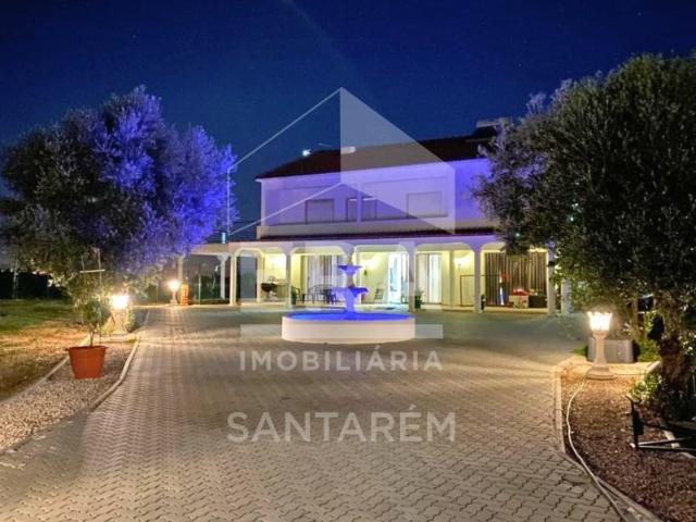 4 quarto, Santarém Santarém 101564252
