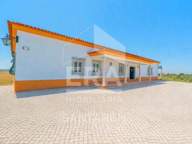 4 quarto, Santarém Santarém 103965319
