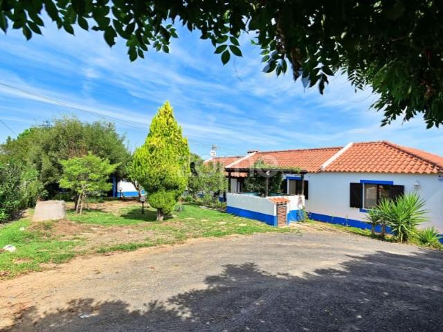 4 quarto, Santiago do Cacém Santiago do Cacém 104792984
