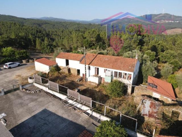 4 quarto, Sertã Sertã 93834016