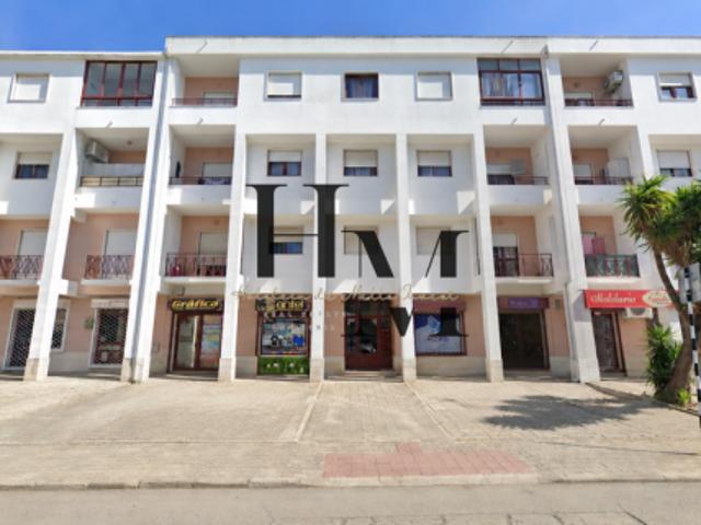 4 quarto, Setúbal Seixal 2845 103695078