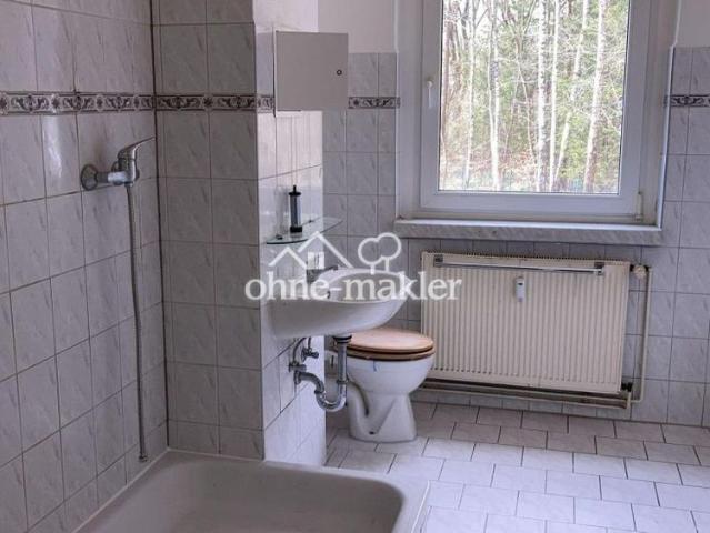 4 Raum Wohnung renoviert