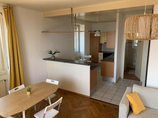 4 ROOM APARTMENT IN PRILLY VD, FURNISHED, FIXED TERM