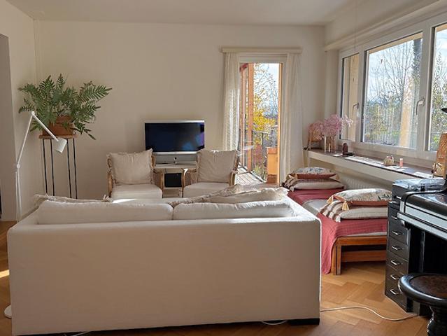 4 room apartment in Zürich Kreis 10, furnished, temporary