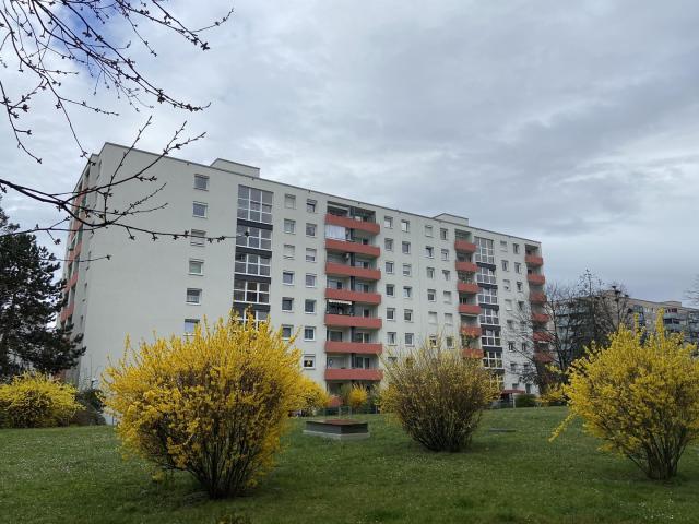 4 Schlafzimmer Wohnung Freiburg Deutschland 88850736