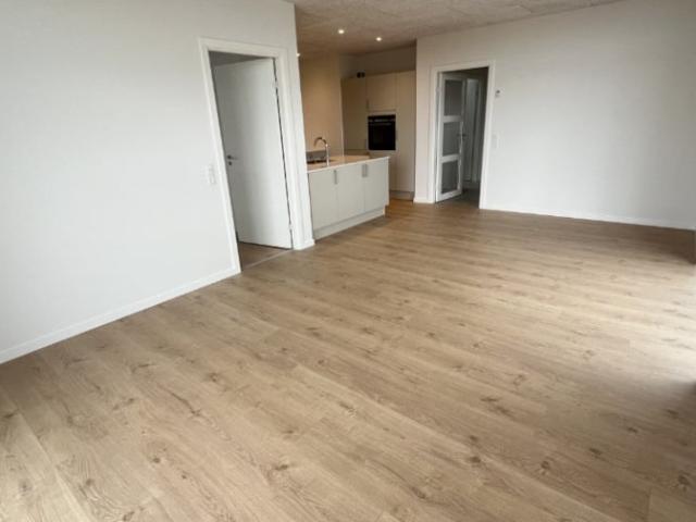 4 værelses Asmild Mark, 8800 Viborg