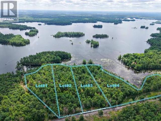 4 Wao Kasshabog Lake, Havelock Belmont Methuen, ON, K0L 2H0 vacant land for sale | Listing ID X13570 | Royal LePage