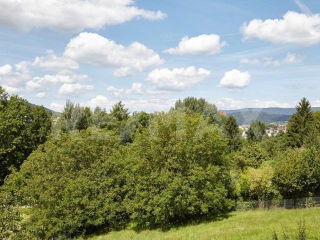 4 Zi. DW Oase im Grünen mit Weitblick im Quartier “Bergfrieden,” Dietikon