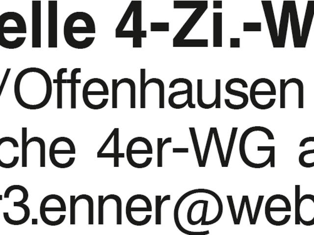 4 Zi. Whg. Offenhausen