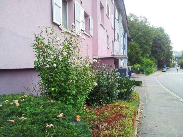 4 Zimmer, 74 m², 1. Stock