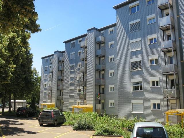 4 Zimmer Wohnung in Volketswil mieten