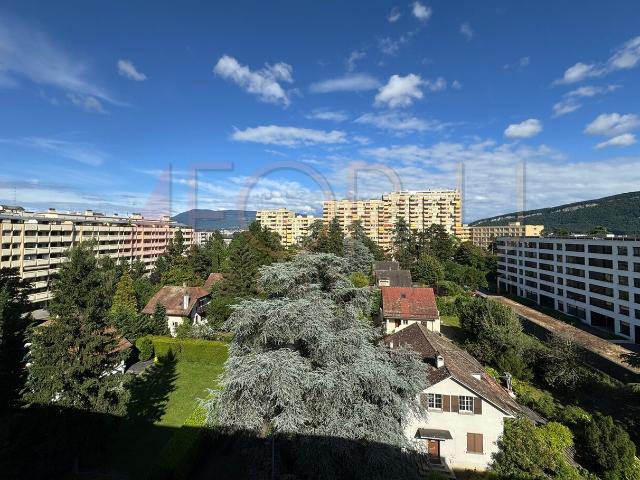 4 Zimmer Atelier mit Balkon und freiem Blick Chêne Bourg