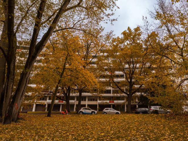 4 Zimmer Bauhaus Wohnung am Tiergarten Berlin