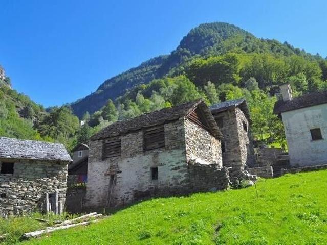 4. Zimmer Rustico zum Ausbauen mit viel ebenem Wiesland / rustico di 4 locali da ristrutturare con tanto prato | dreamo. Ch